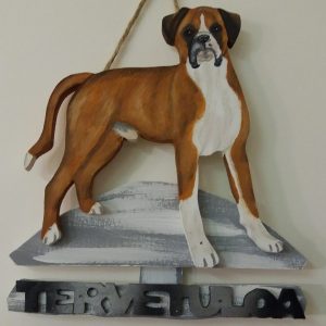 Boxeri tervetuloakyltti