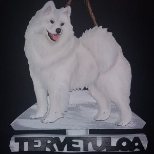 Samojedinkoira tervetuloakyltti