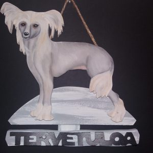 Lyhytkarvainen Kiinanharjakoira tervetuloakyltti