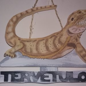 Parta-agama tervetuloakyltti