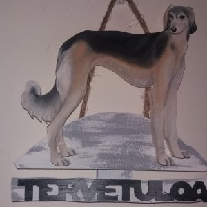 Saluki tervetuloakyltti