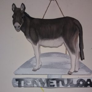 Aasi tervetuloakyltti