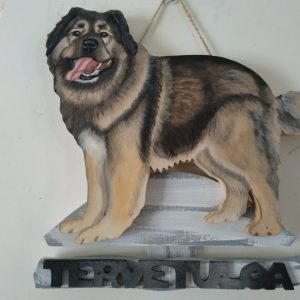 Kaukasiankoira tervetuloakyltti