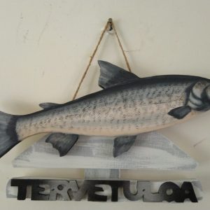 Siika tervetuloakyltti