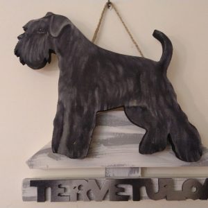 Snautseri tervetuloakyltti