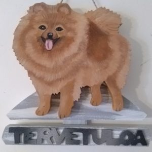 Pomerian tervetuloakyltti