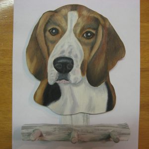 Suomenajokoira naulakko