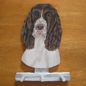 Englanninspringerspanieli naulakko