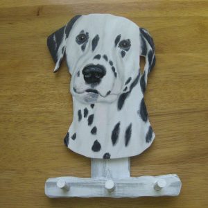 Dalmatialainen naulakko